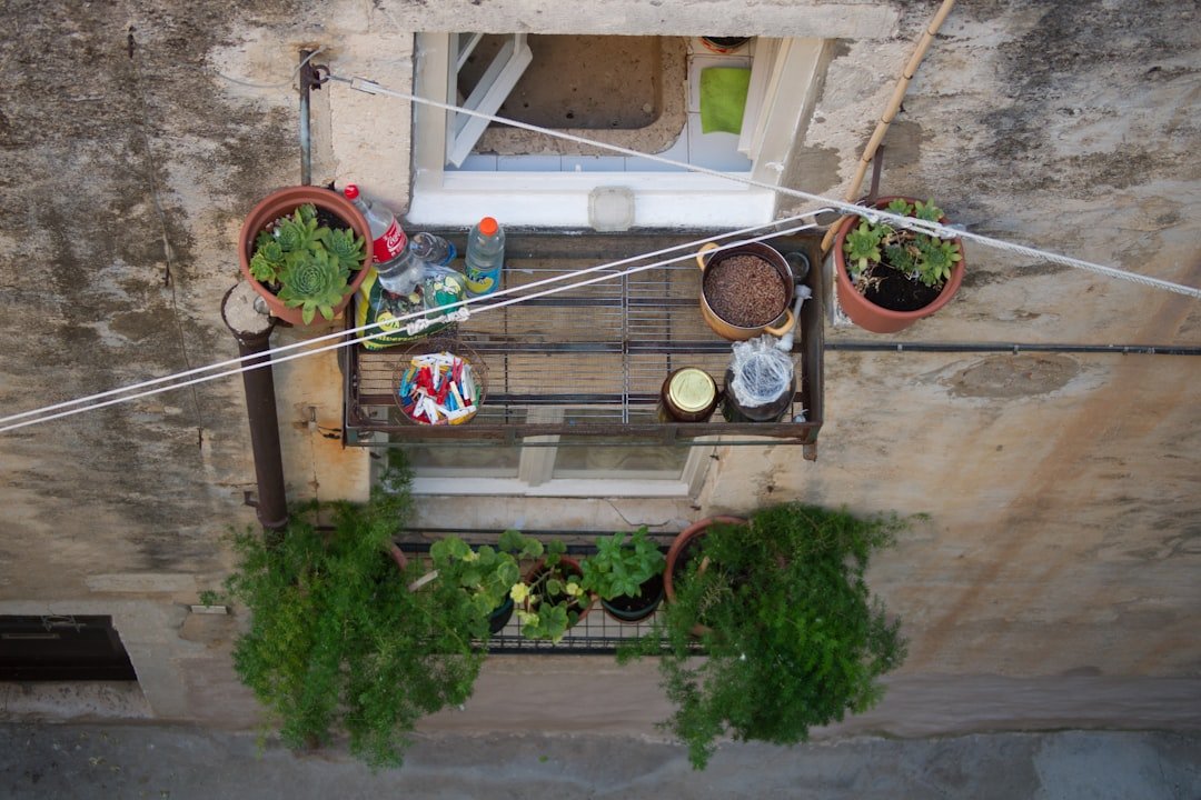 Herbs growing in containers on a bright apartment balcony