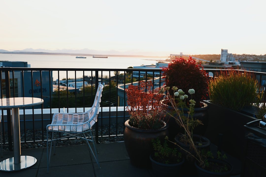 Rooftop patio overlooking a bay at sunset with potted plants
