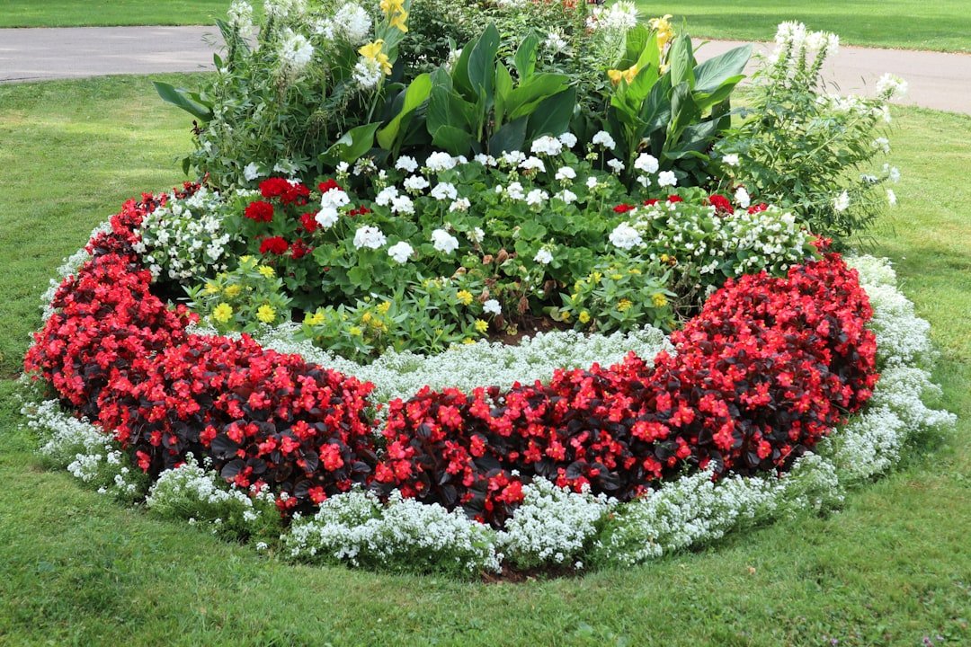 Small beginner garden bed beside a home