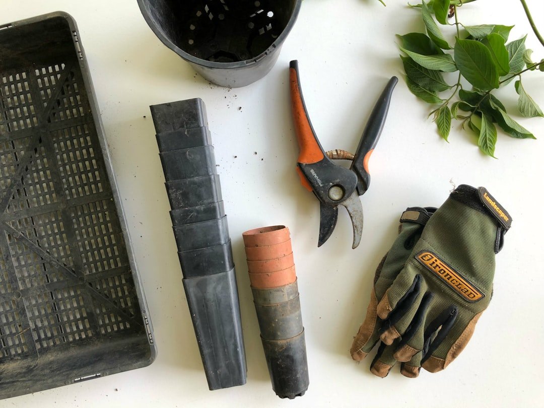 Several types of garden gloves beside hand tools