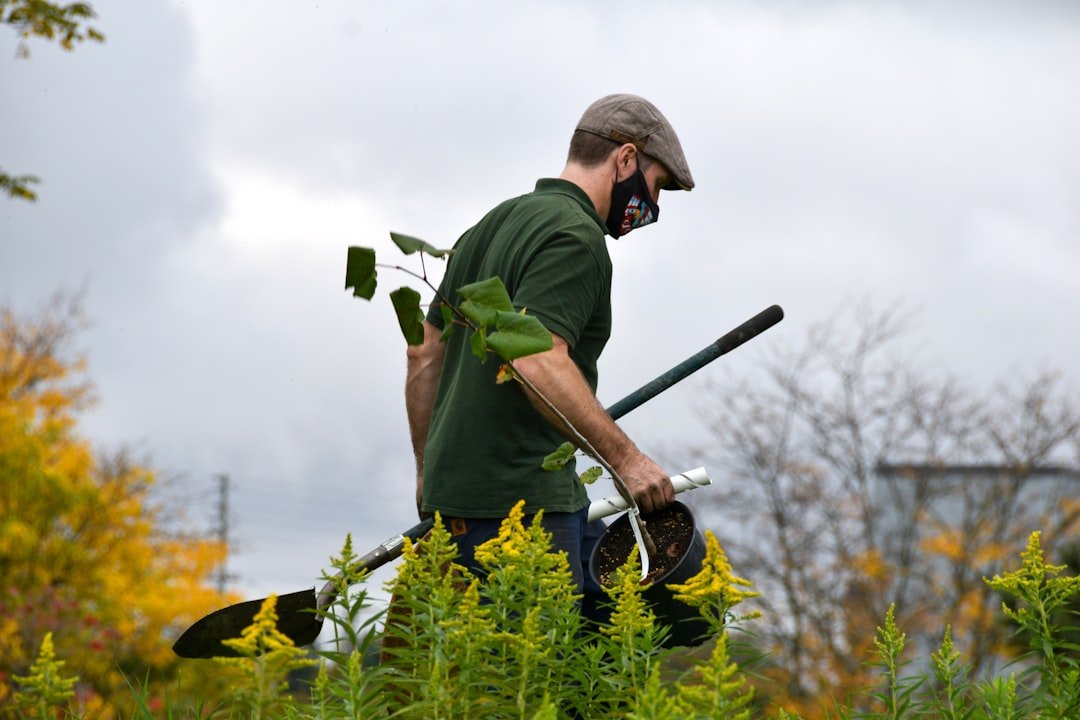 Gardener deadheading flowers with small hand pruners