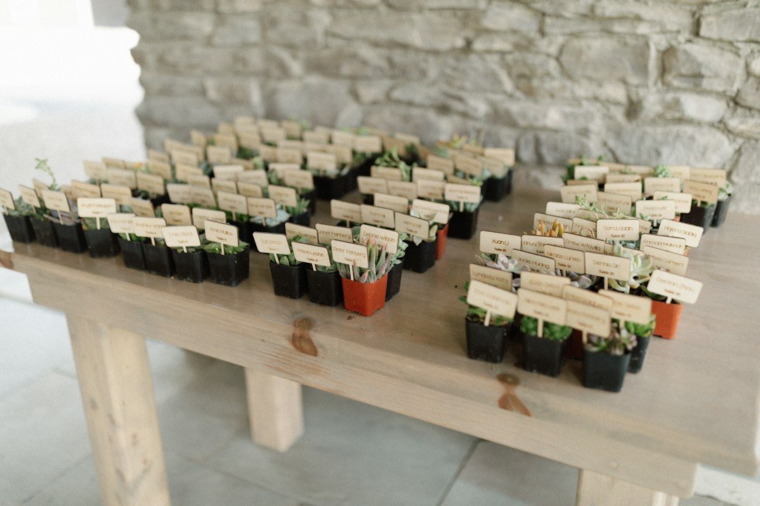 a table topped with lots of small pots filled with plants