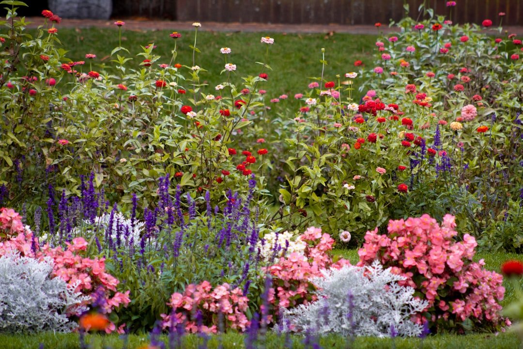 Colorful but simple sunny flower border