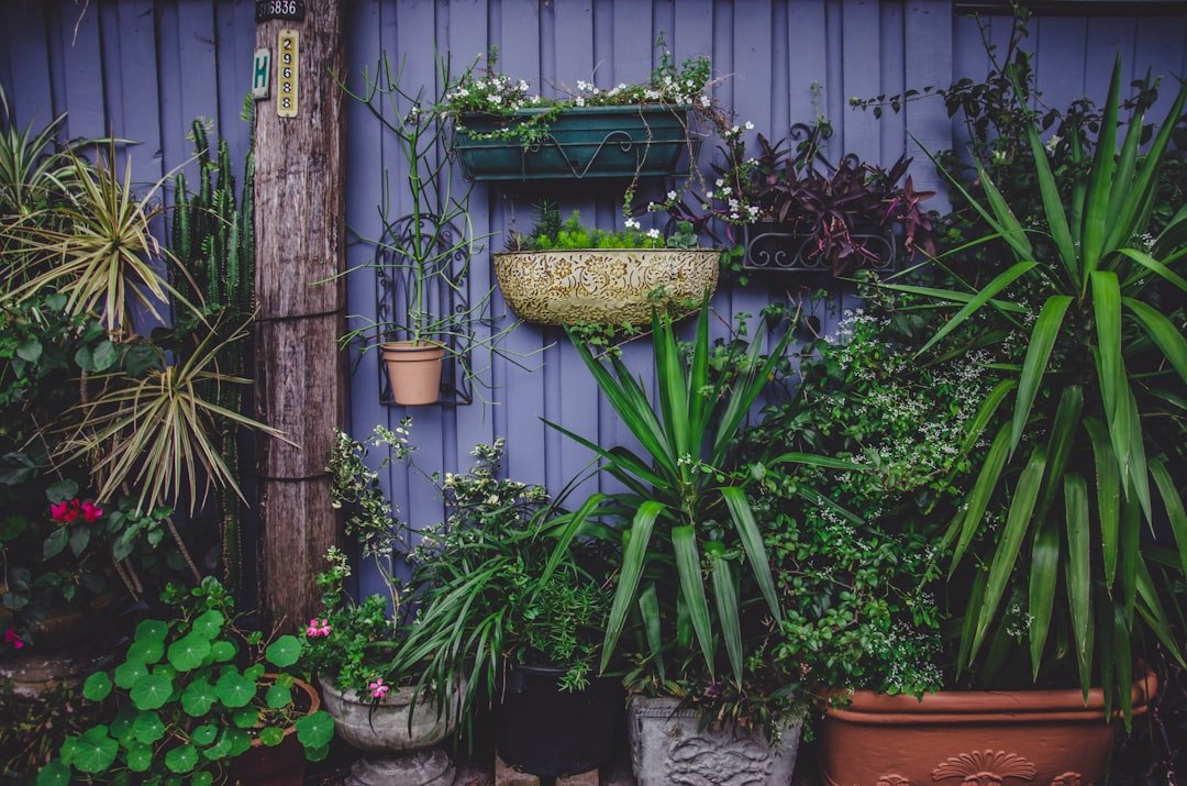 A balanced group of plant containers on a patio