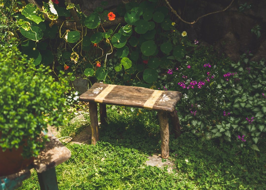Garden kneeler stool and long-handled tools beside a bed