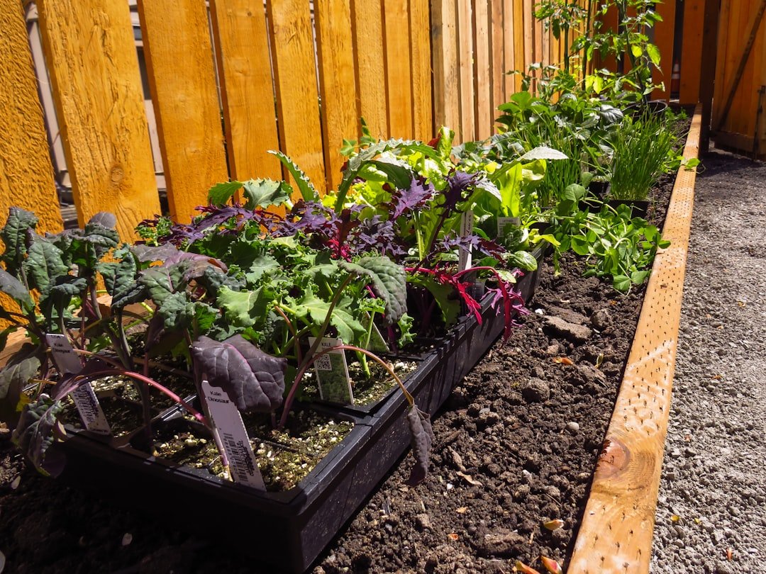 Mulch spread carefully around plants in a small bed