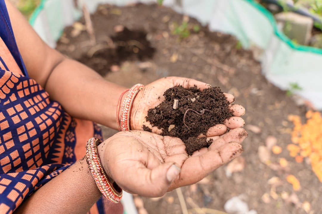 Potting mix compost and garden soil compared side by side