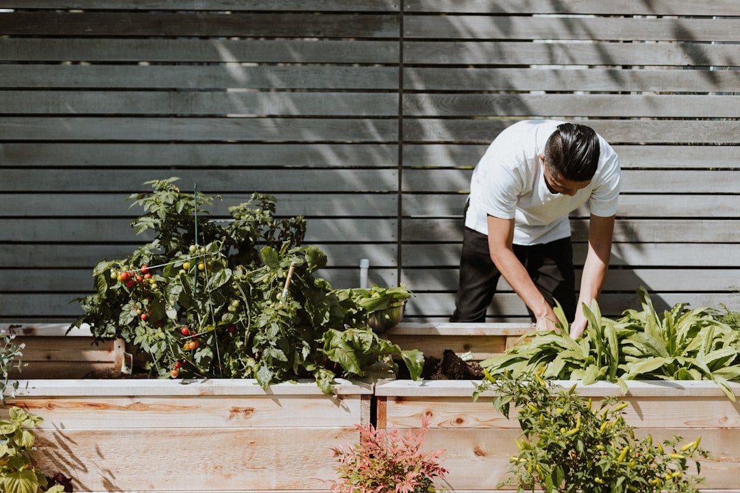 Beginner gardener observing light in a small outdoor space
