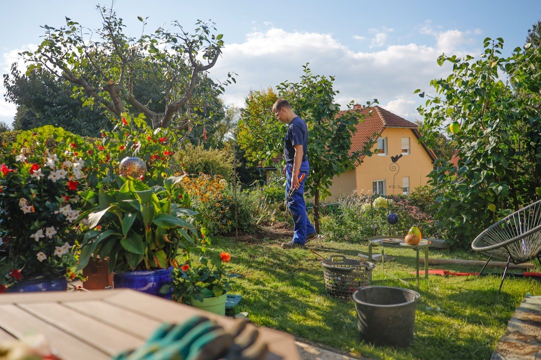 Person preparing a small garden bed in a backyard