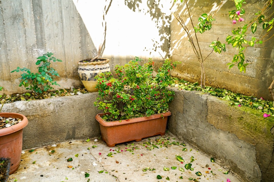 Sunlight and shadows moving across a small garden patio