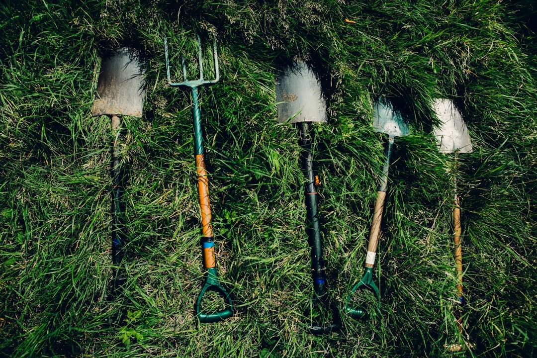 A small set of essential garden hand tools
